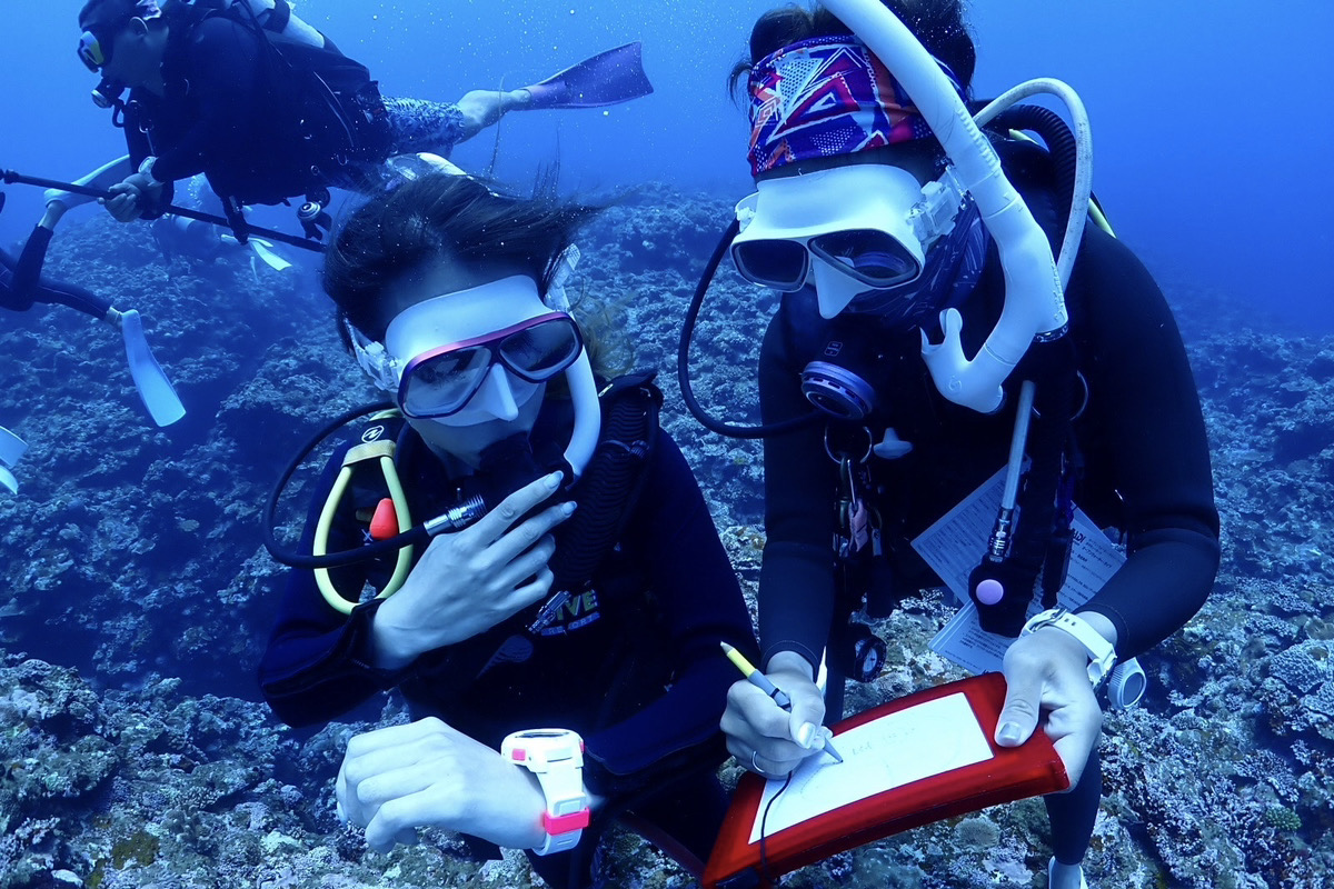 ライセンス講習